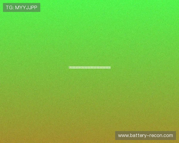 B体育在线官网提供多样化的支付方式,方便用户快速存取款项 B体育在线官网提供多样化的支付方式,方便用户快速存取款项